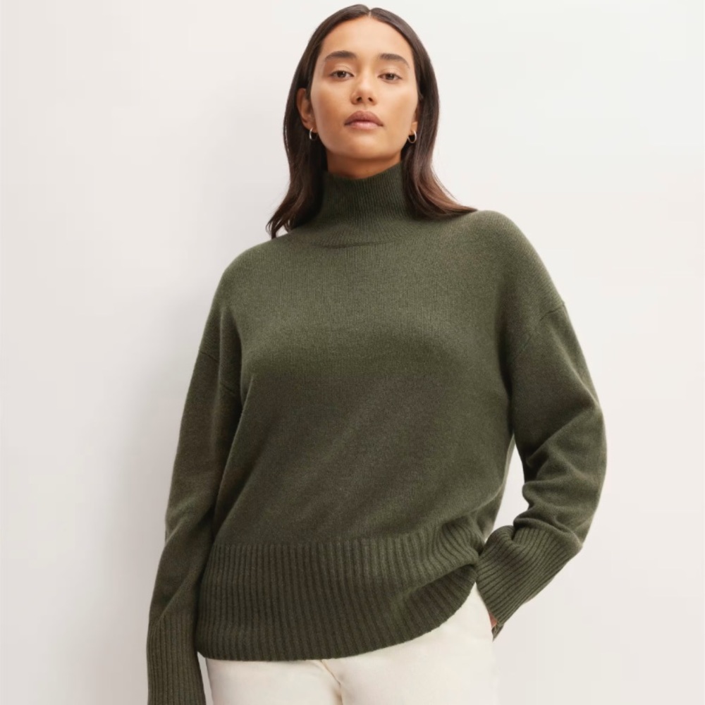 Everlane Cashmere Oversized Turtleneck